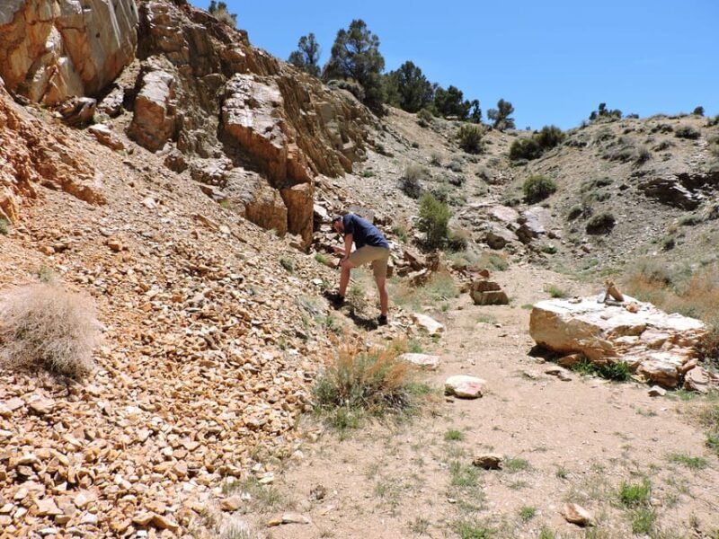 big-bear-lake-from-seafloor-to-mountain-the-story-of-gold