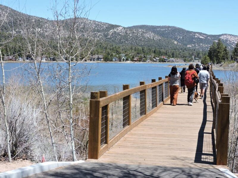 big-bear-lake-from-seafloor-to-mountain-the-story-of-gold