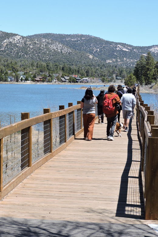 big-bear-lake-from-seafloor-to-mountain-the-story-of-gold