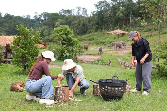 Big Boy Elephant Sanctuary Half Day Tour + Pad Thai Cooking Class - FAQ