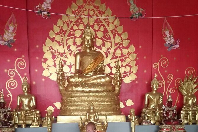 Big Buddha &Tiger Park & Monkey Hill ViewPoint & Phuket Old town - A Closer Look at the Itinerary