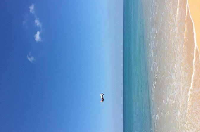 Big Buddha &Tiger Park & Monkey Hill ViewPoint & Phuket Old town - Who Is This Tour Best Suited For?