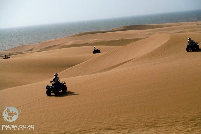 Big Cap Sim dunes and forest 3 hours tour. - Who Will Love This Tour?