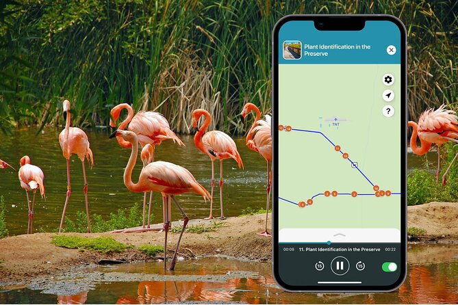 big-cypress-national-preserve-audio-tour-guide