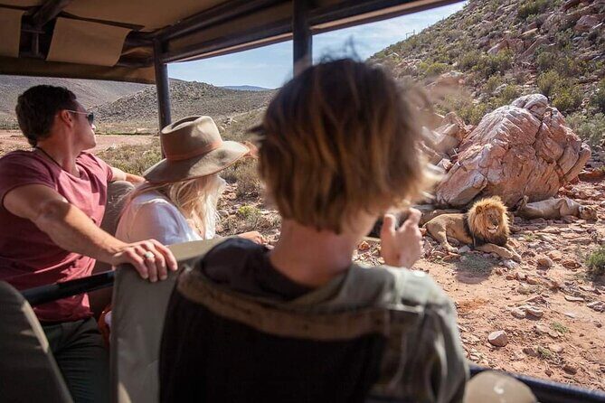 Big Five Safari Experience Near Cape Town ,South Africa - Final Thoughts