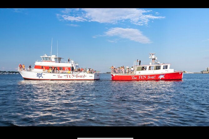 big-fun-dolphin-cruise-sealife-experiece-orange-beach-alabama