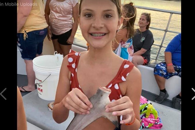 big-fun-dolphin-cruise-sealife-experiece-orange-beach-alabama