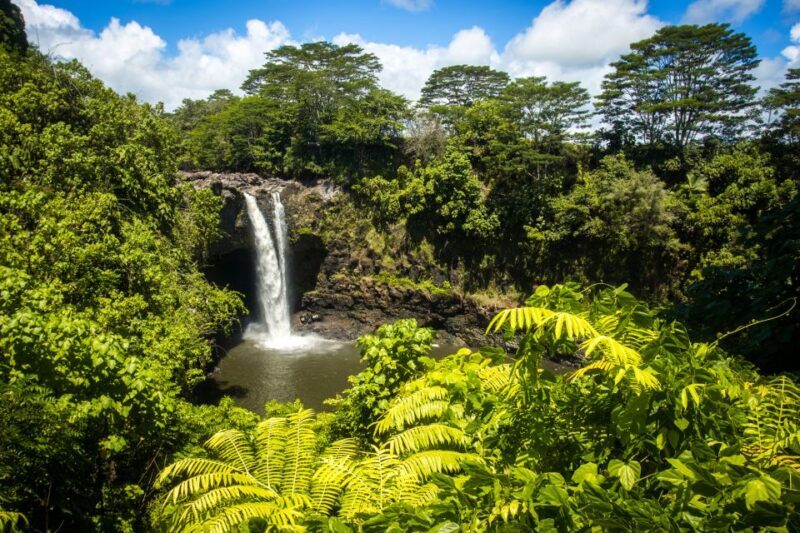 Big Hawaii: Private Guided Van Tour - Practicalities and Logistics