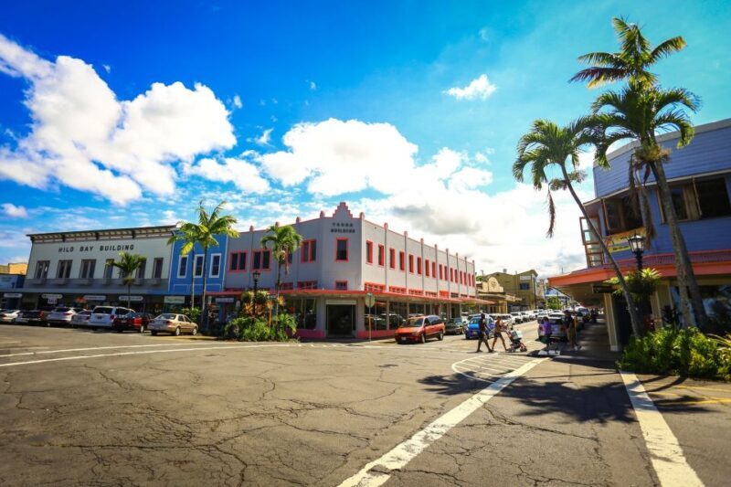 Big Hawaii: Private Guided Van Tour - Who Is This Tour Best Suited For?