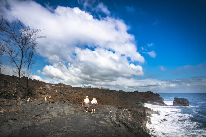 Big Hawaii: Private Guided Van Tour - Frequently Asked Questions