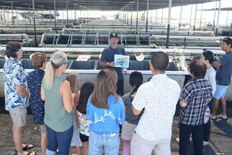 big-island-abalone-farm-guided-tour-with-tasting