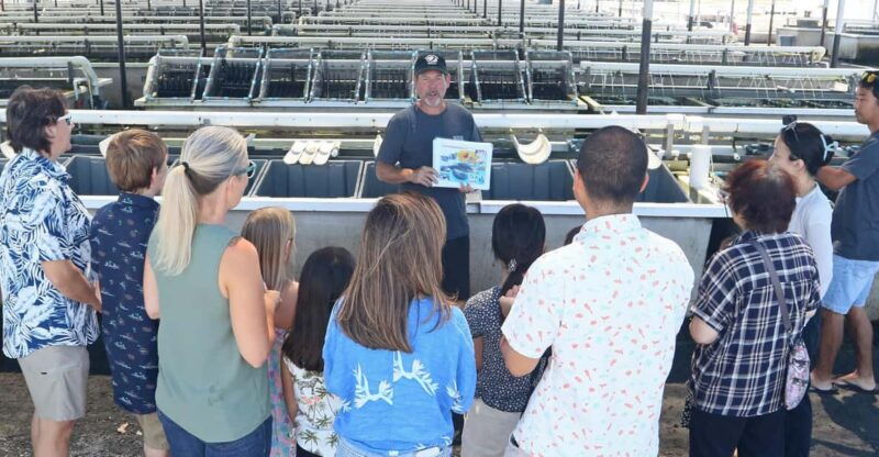 big-island-abalone-farm-guided-tour-with-tasting