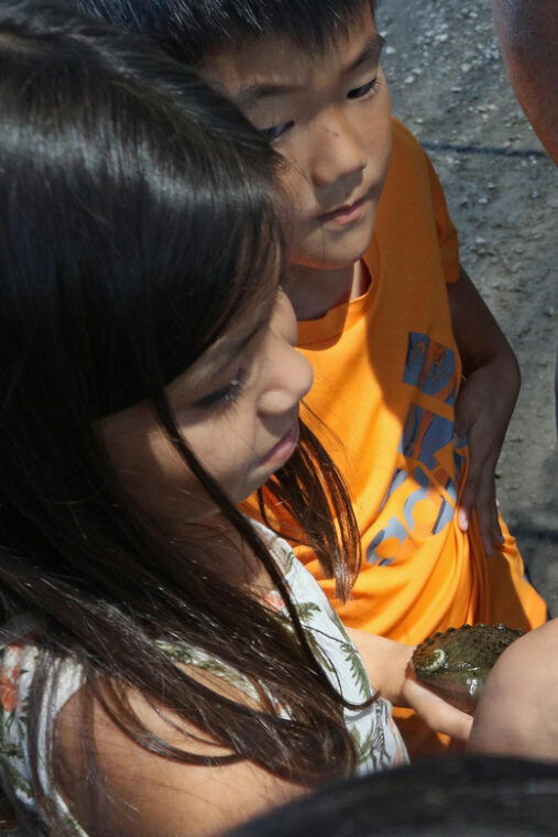 big-island-abalone-farm-guided-tour-with-tasting