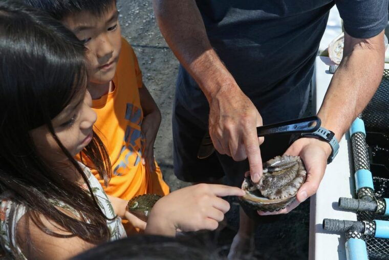 big-island-abalone-farm-guided-tour-with-tasting