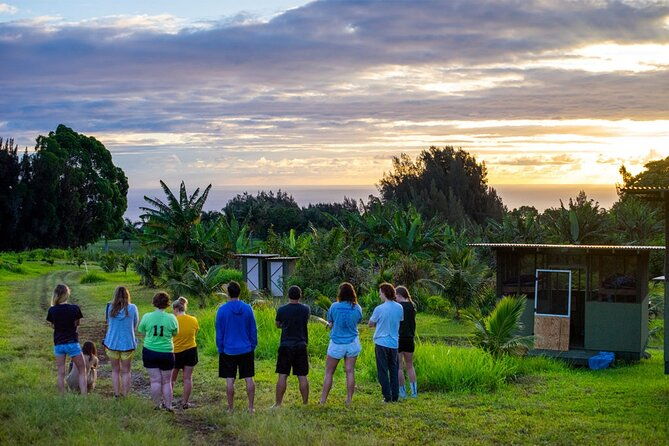 big-island-farms-tour-in-hawaii-2