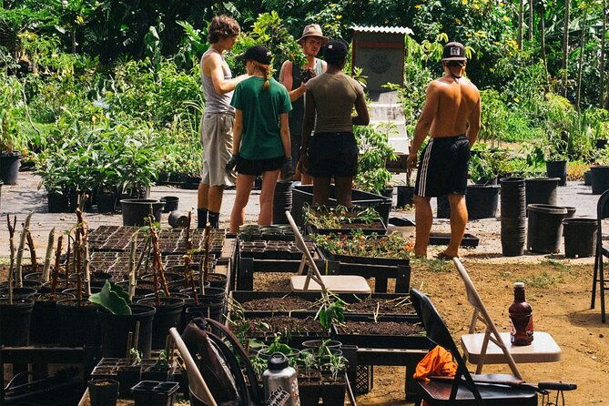 big-island-farms-tour-in-hawaii