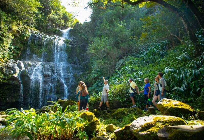 big-island-full-day-adventure-tour-of-the-kohala-waterfalls