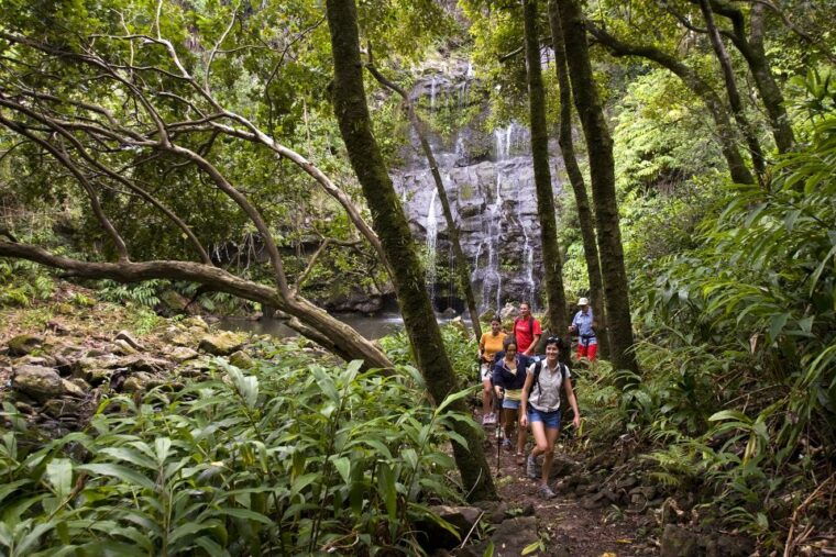 big-island-full-day-adventure-tour-of-the-kohala-waterfalls