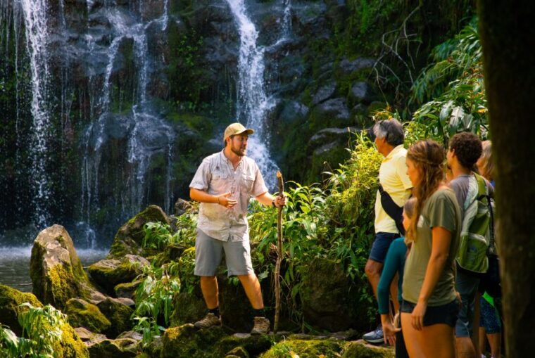 big-island-full-day-adventure-tour-of-the-kohala-waterfalls