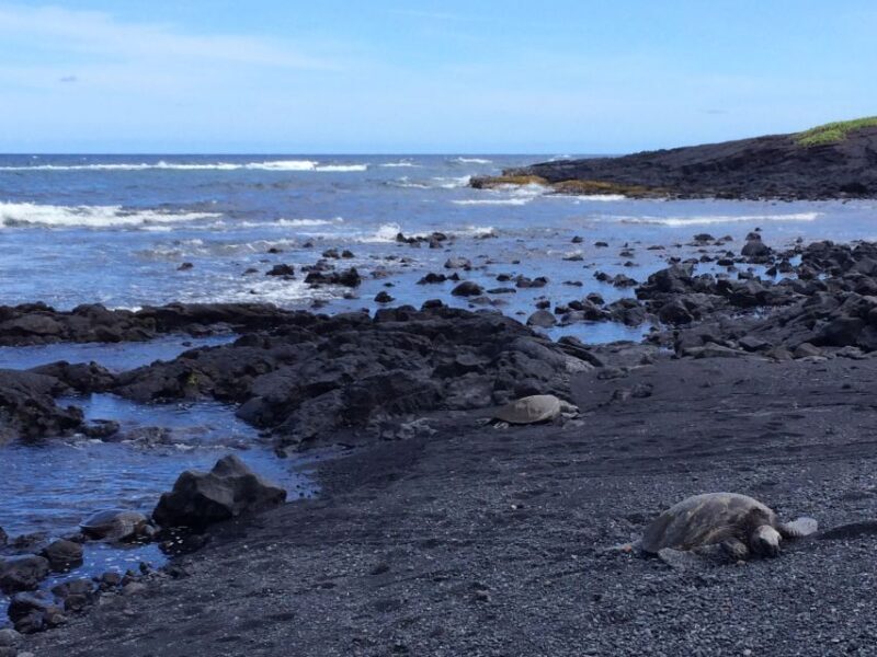 Big Island: Full Day Circle Island Tour From Kona - The Itinerary in Detail: What You Can Expect