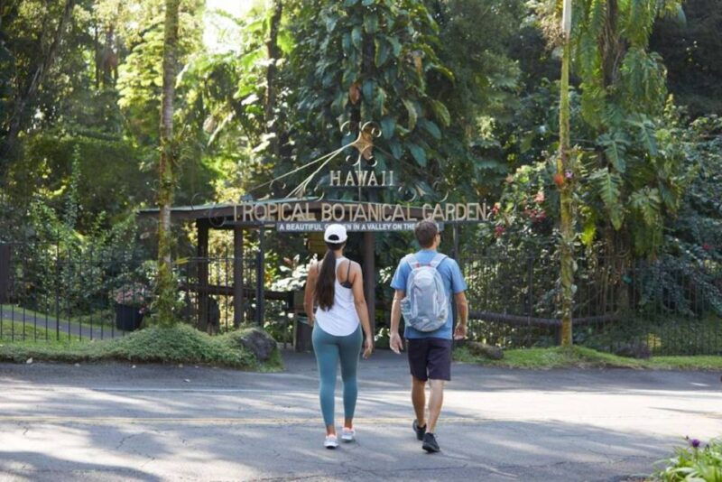 big-island-full-day-sightseeing-waterfalls-adventure-tour