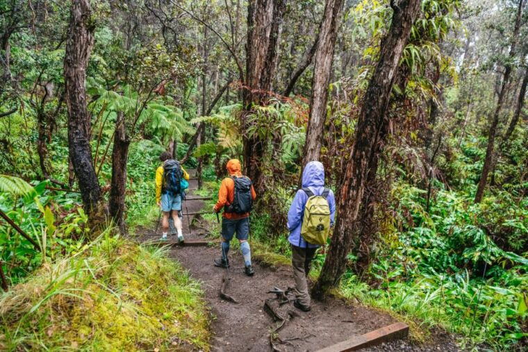 big-island-hawaii-volcanoes-national-park-guided-hike