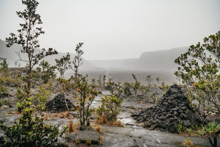 big-island-hawaii-volcanoes-national-park-guided-hike