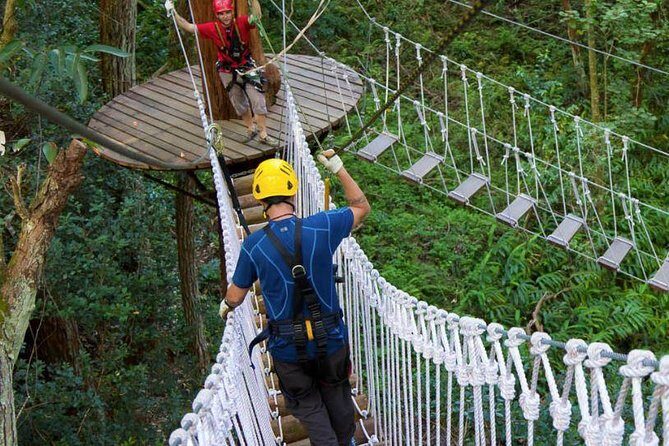 Big Island Kohala Zip and Dip Tour from Kona - Final Thoughts: Who Will Love This Tour?