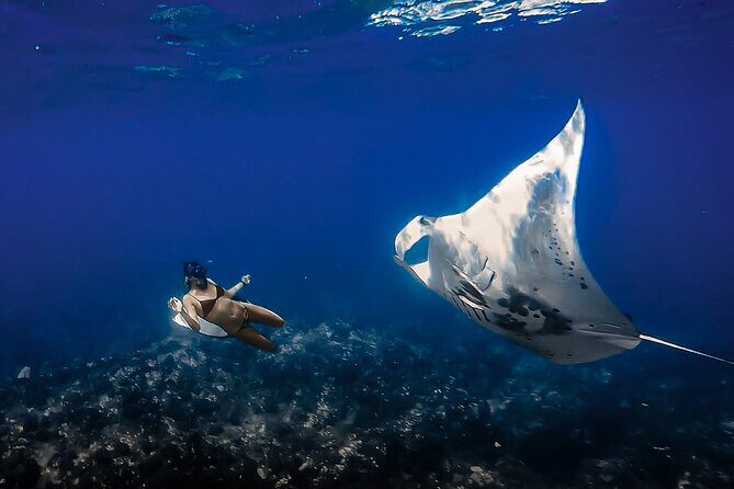 Big Island, Kona Manta Ray Night Snorkel Tour - Possible Drawbacks & Considerations