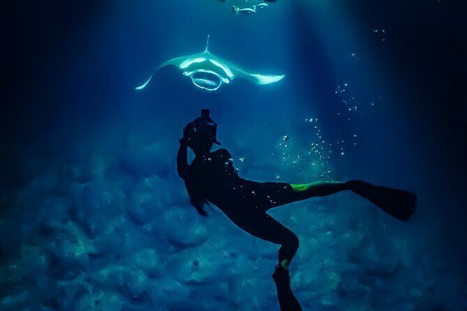 Big Island, Kona Manta Ray Night Snorkel Tour - Final Thoughts: Is This Tour Worth It?