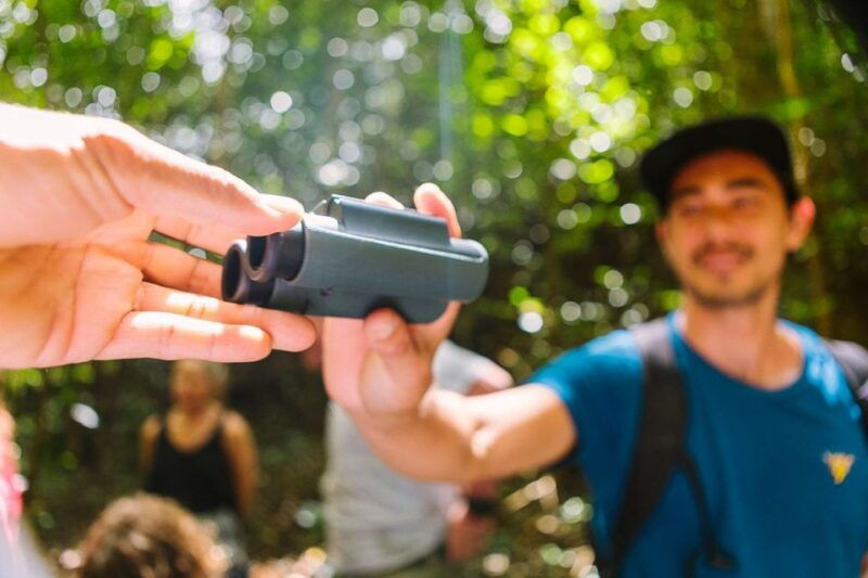 big-island-native-bird-watching-hiking-tour