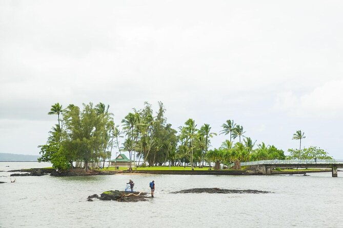 big-island-north-island-jungle-driving-tour-2