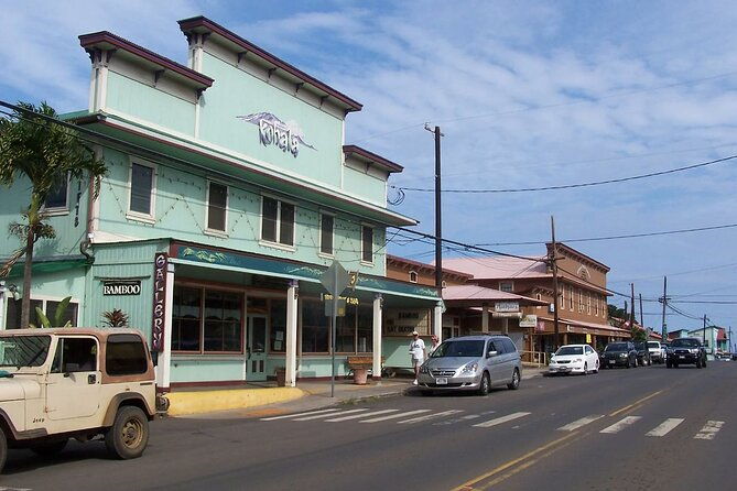 big-island-north-kohala-coast-and-pololu-lookout-private-tour