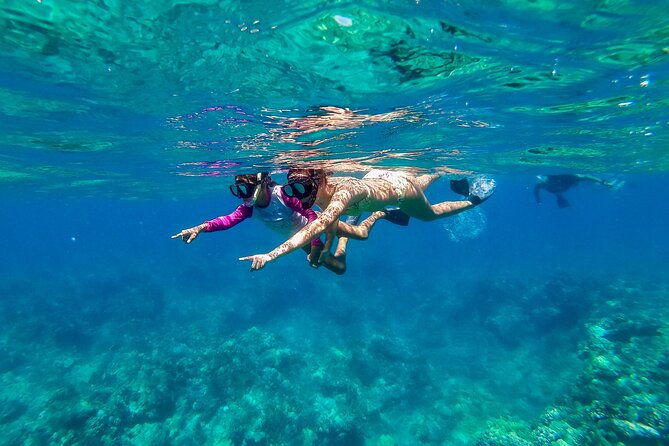 big-island-snorkel-cruise-from-waikoloa
