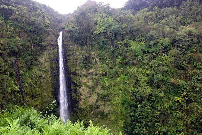 Big Island Volcano Adventure from Kona: Small Group - Exploring the Big Island’s Landscape