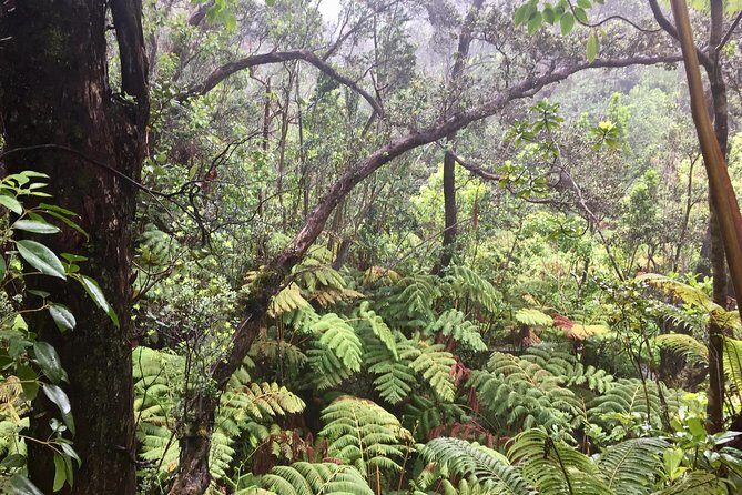 Big Island Volcano Adventure from Kona: Small Group - Authentic Experiences That Make the Difference