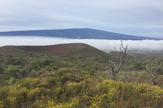 Big Island Volcano Adventure from Kona: Small Group - Practical Tips for Travelers