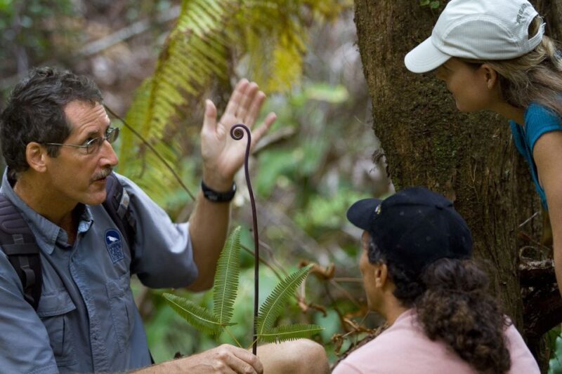Big Island: Volcano, Chocolate & Waterfall Adventure - Authentic Insights from Reviewers