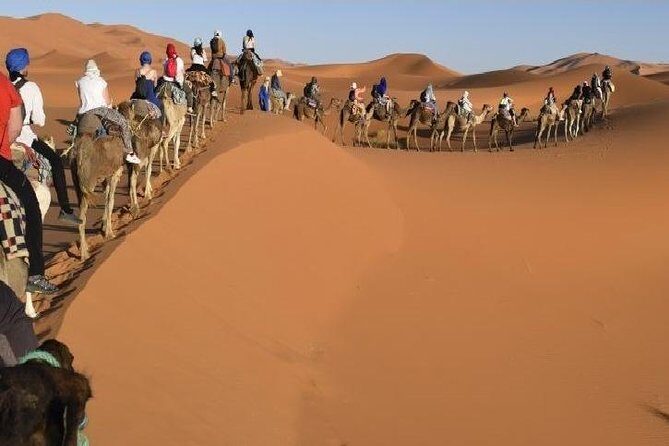 Big Morocco Tour 15 Days From Casablanca - Authentic Experiences and Practical Details