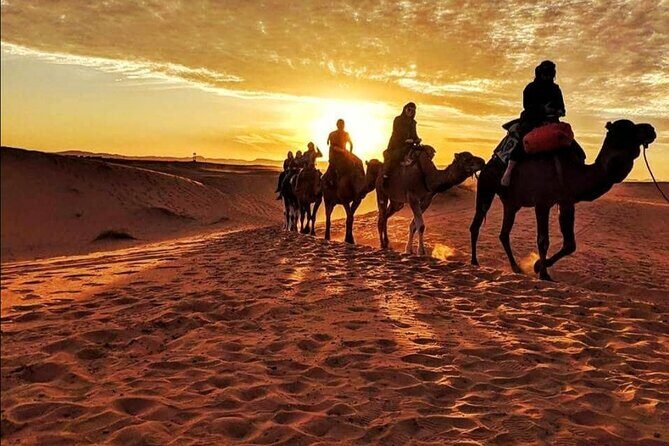 Big Sahara trip :Ouarzazate /Zagora /Mhamid/ Erg Chegaga/3 days 2 nights - The Itinerary Breakdown