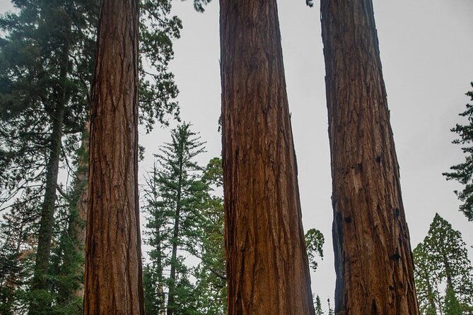 big-sur-california-coast-one-day-10-hour-charter