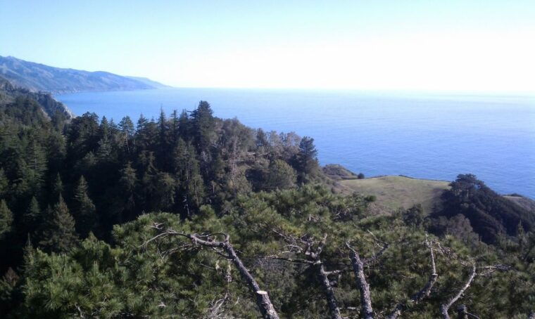 big-sur-sightseeing-tour-with-4-to-5-stops