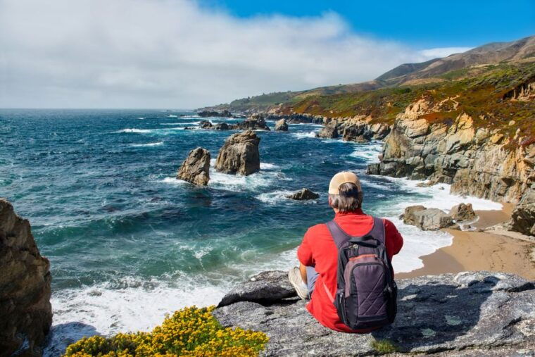 big-sur-sightseeing-tour-with-4-to-5-stops
