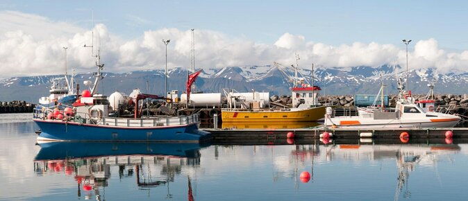 big-whales-puffins-rib-boat-tour-from-husavik