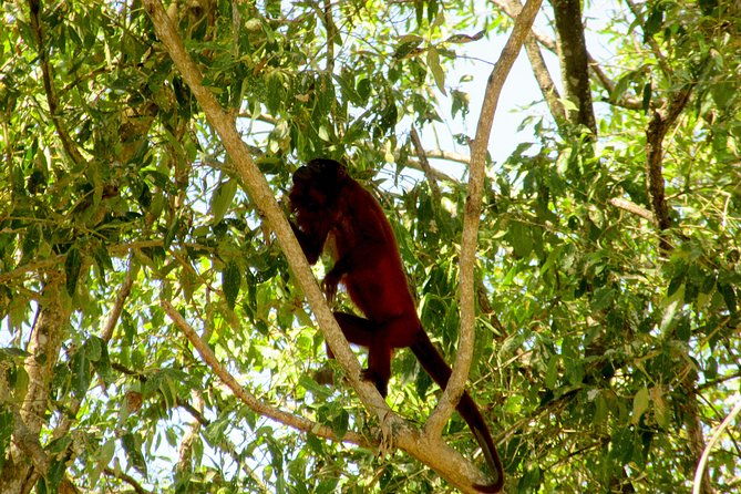 bigi-pan-tourist-eco-lodge
