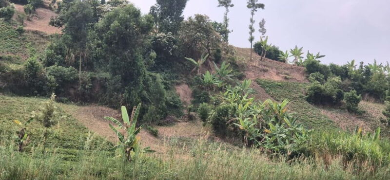 BIGOGWE : Rock Climbing and Cow Milking & Corn Roasting Tour - Key Points