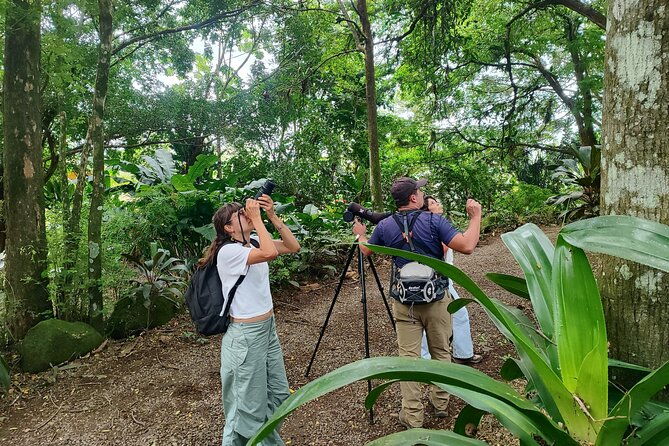 bijagua-upala-rainforest-trails-sloths-birds-and-others