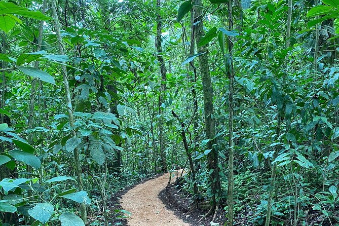 bijagua-upala-rainforest-trails-sloths-birds-and-others