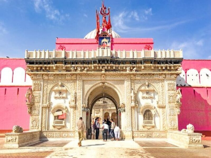 Bikaner Highlights: A Day of Majestic Discovery - Why This Tour Works Well