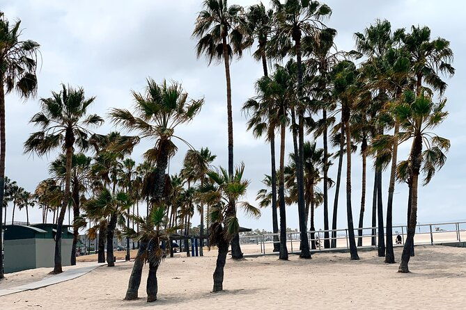 bike-adventure-tour-in-beverly-hills-santa-monica-and-venice